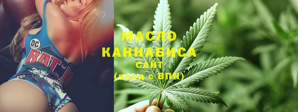 мет Алексин