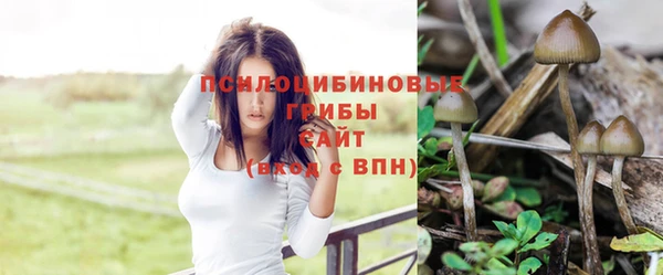 гашиш Алексеевка