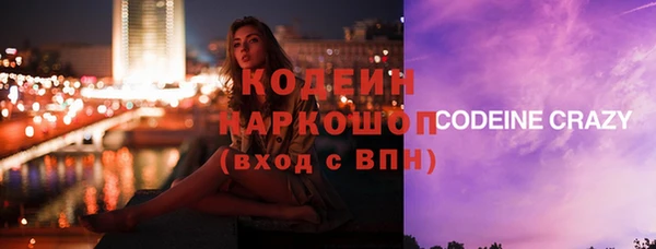 мет Алексин