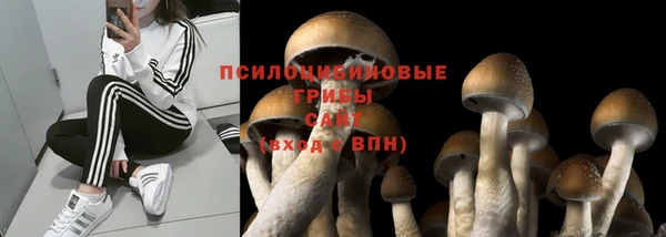 таблы Алзамай