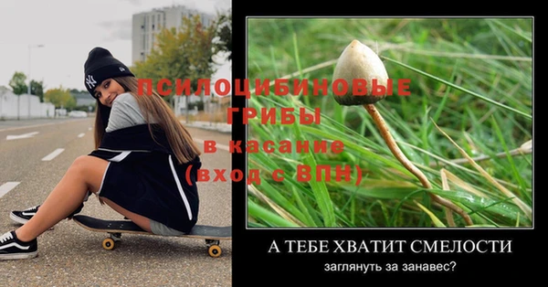 таблы Алзамай