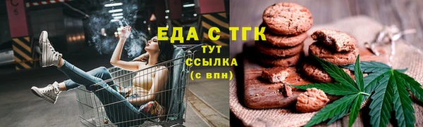 мет Алексин